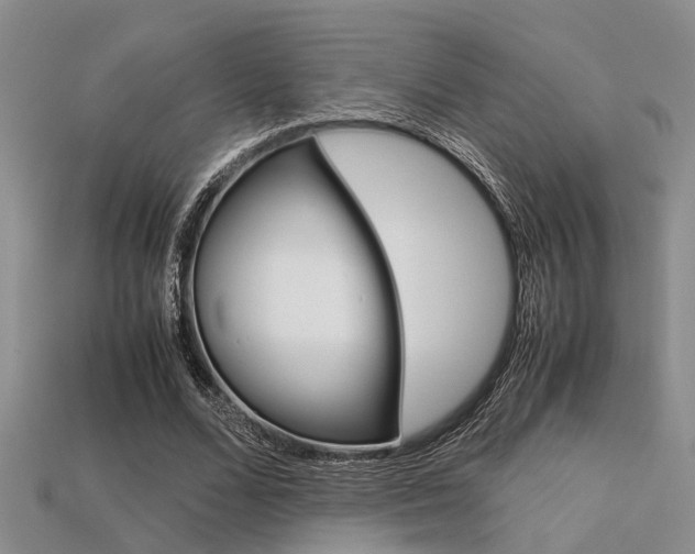 X0000113600680200909181109