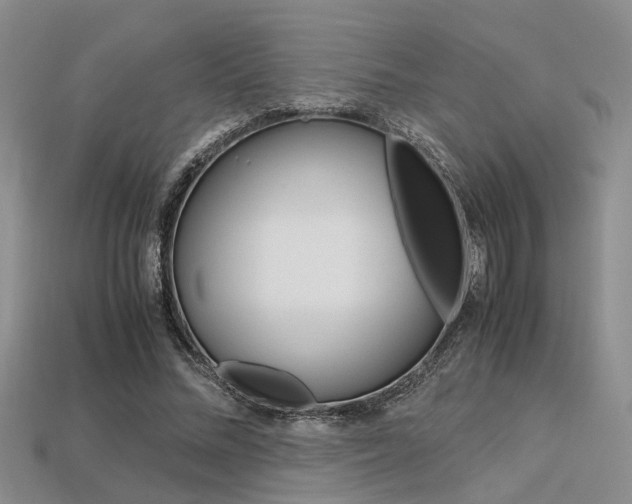 X0000113600684200909181109