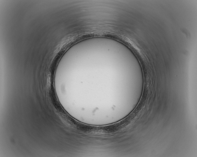 X0000113600685200909181109