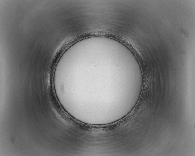 X0000113600686200909181109