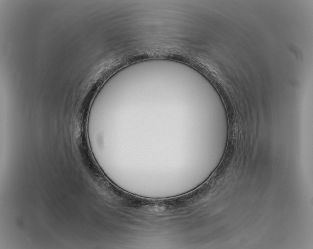 X0000113600687200909181109