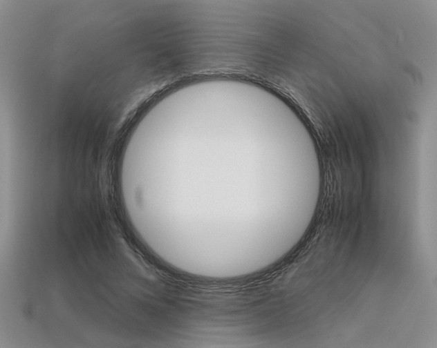 X0000113600688200909181109