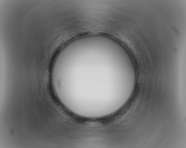 X0000113600689200909181109