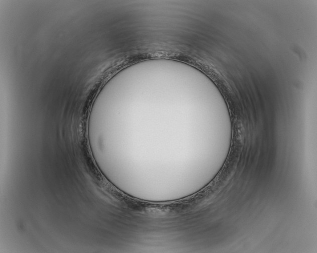 X0000113600690200909181109