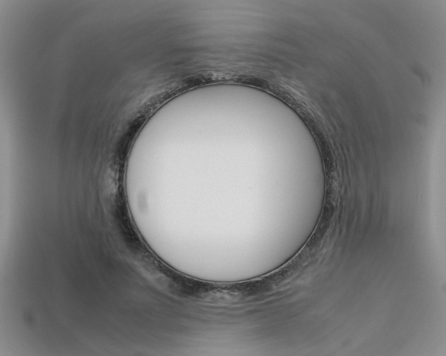 X0000113600691200909181109