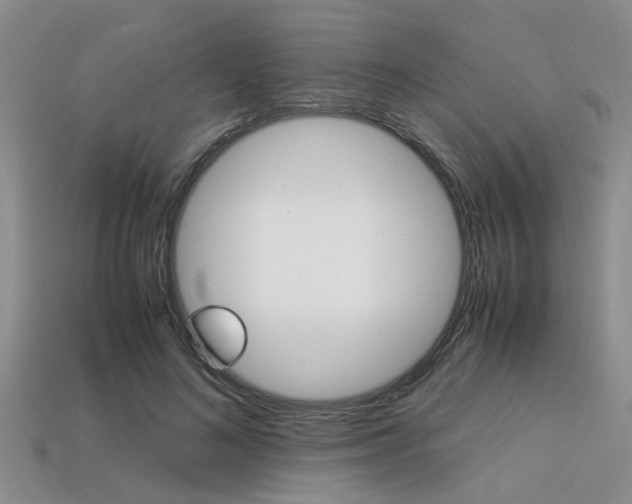 X0000113600692200909181109