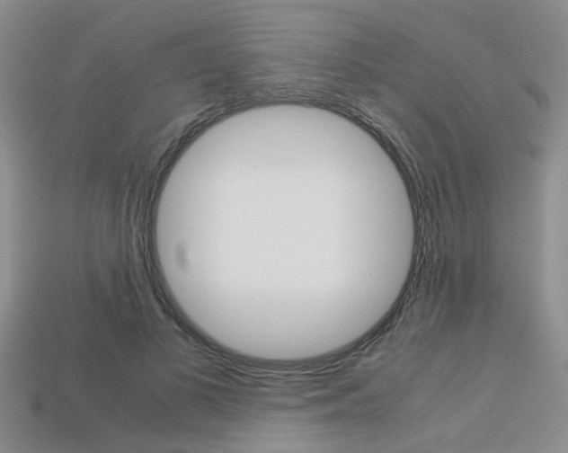 X0000113600693200909181109