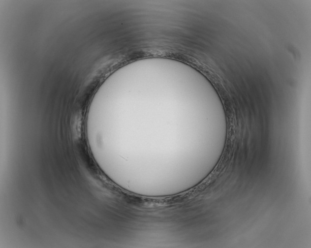 X0000113600694200909181109