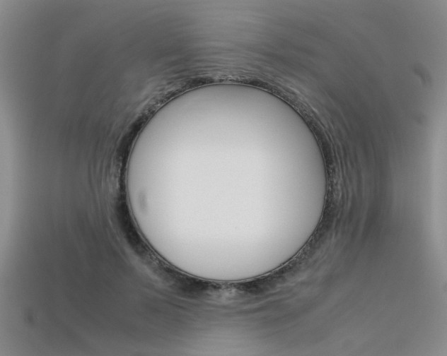 X0000113600695200909181109