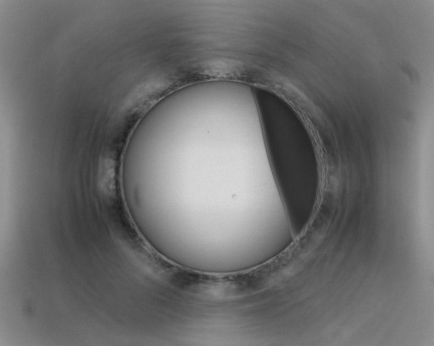 X0000113600696200909181109