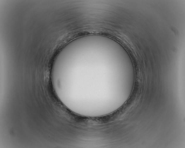 X0000113600697200909181109