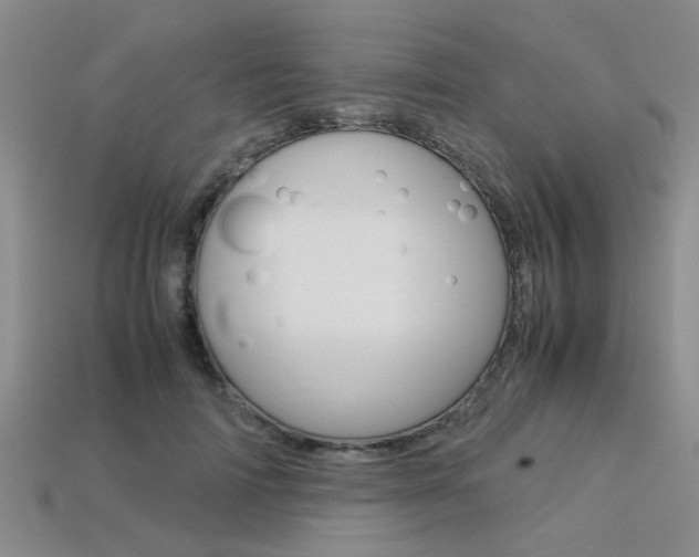 X0000113600698200909181109