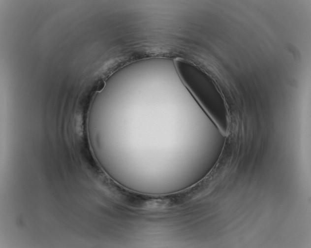 X0000113600700200909181109