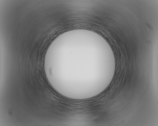 X0000113600701200909181109