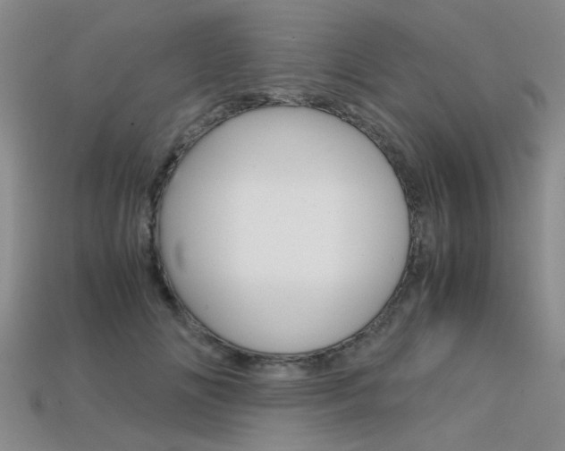 X0000113600702200909181109