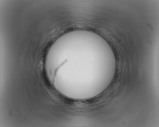 X0000113600703200909181109