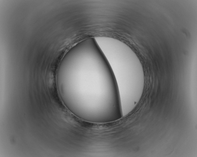 X0000113600704200909181109