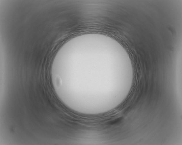 X0000113600705200909181109