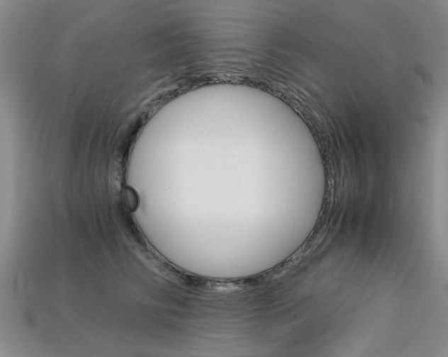 X0000113600710200909181109