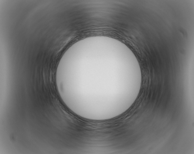 X0000113600712200909181109