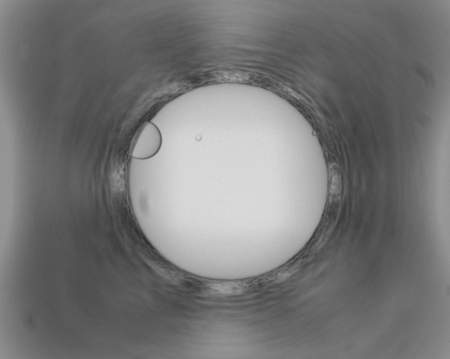 X0000113600713200909181109