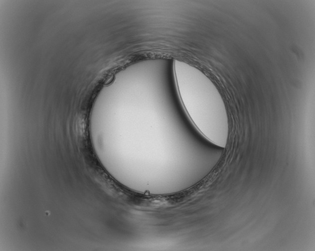 X0000113600715200909181109