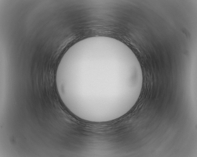 X0000113600716200909181109