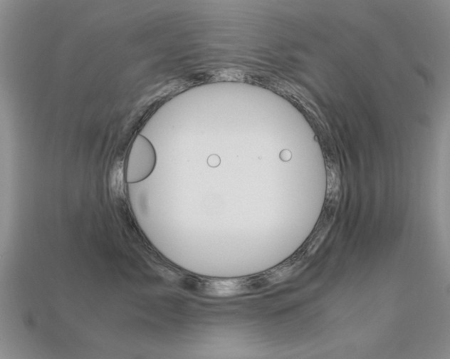X0000113600717200909181109