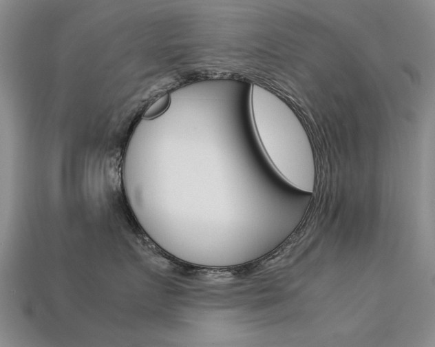 X0000113600719200909181109