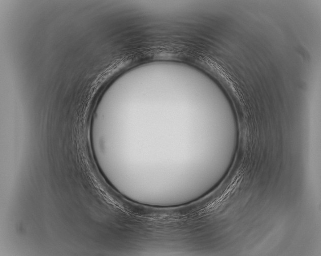 X0000113600721200909181108