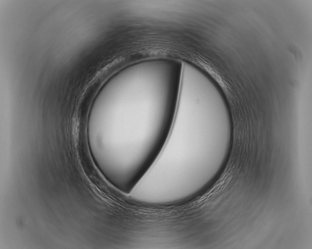 X0000113600722200909181108