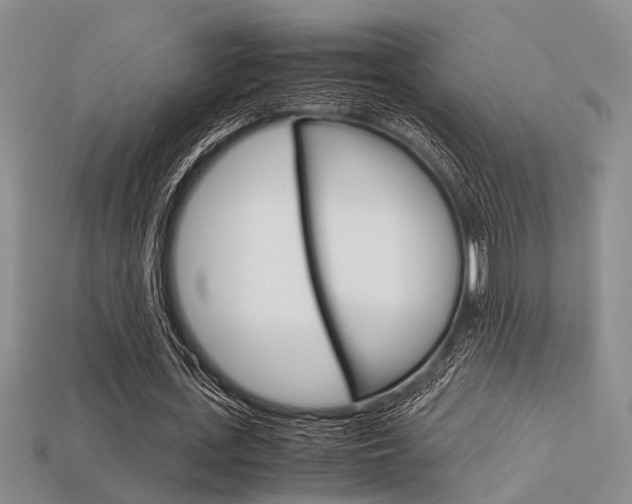 X0000113600723200909181108