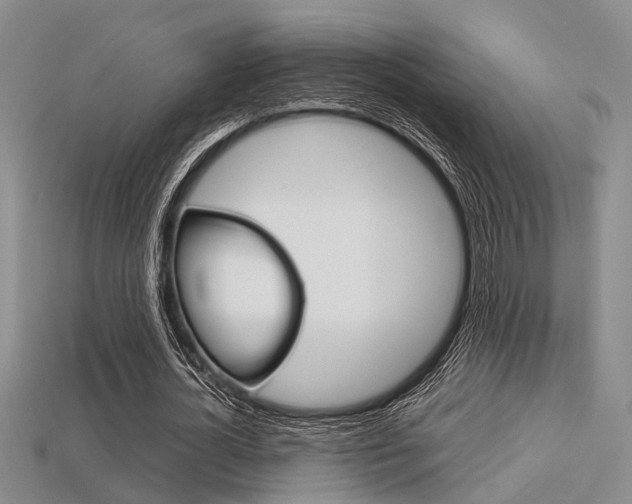 X0000113600724200909181108