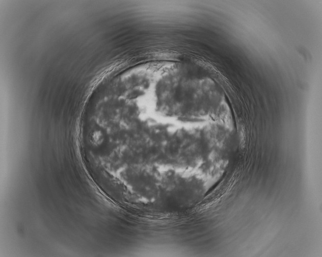 X0000113600725200909181108