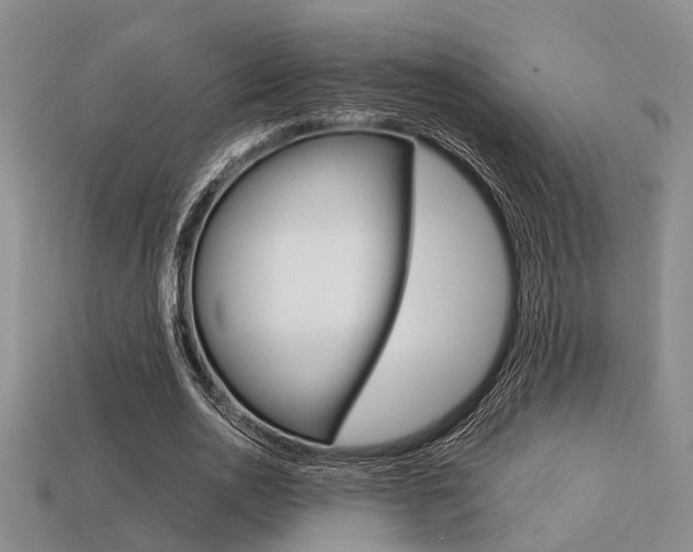 X0000113600726200909181108