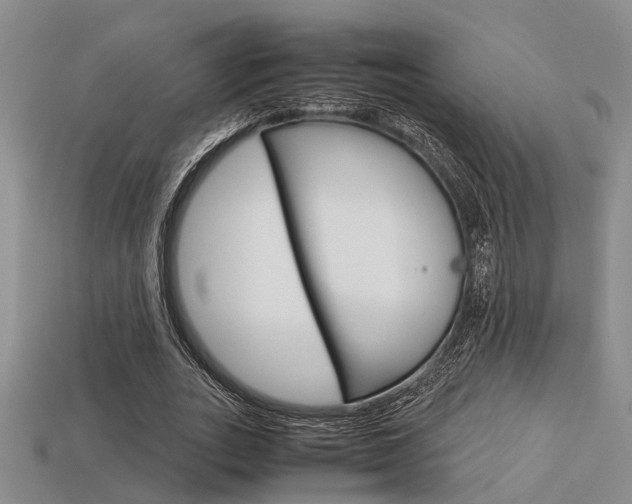 X0000113600727200909181108