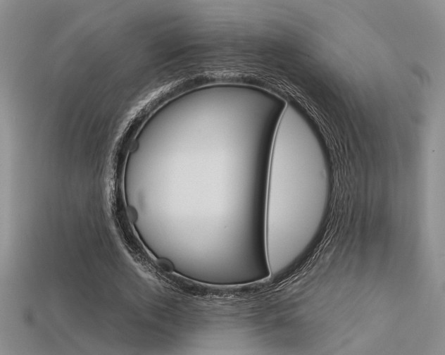 X0000113600728200909181108