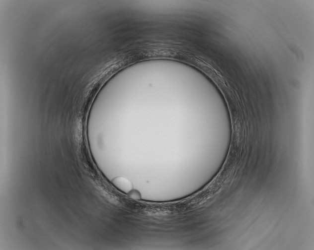 X0000113600729200909181108
