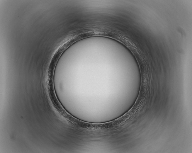 X0000113600730200909181108