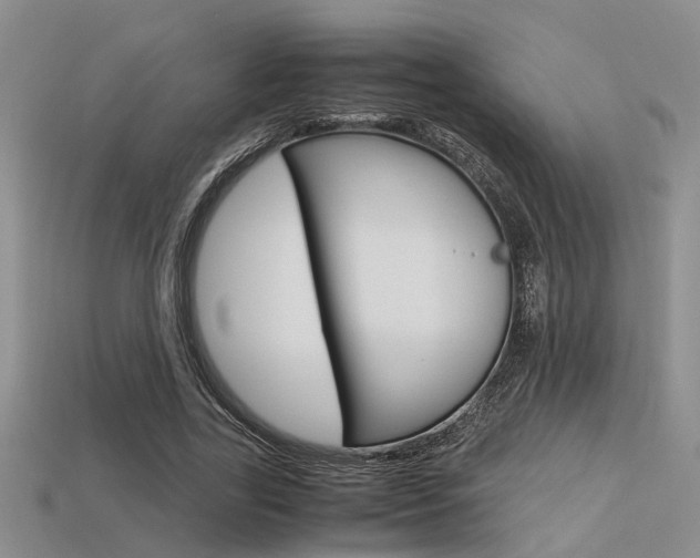 X0000113600731200909181108