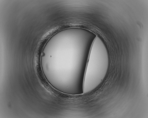 X0000113600732200909181108
