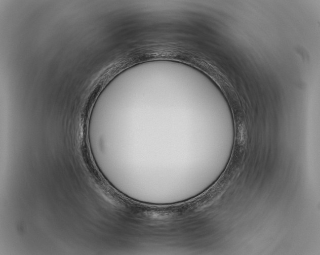 X0000113600733200909181108