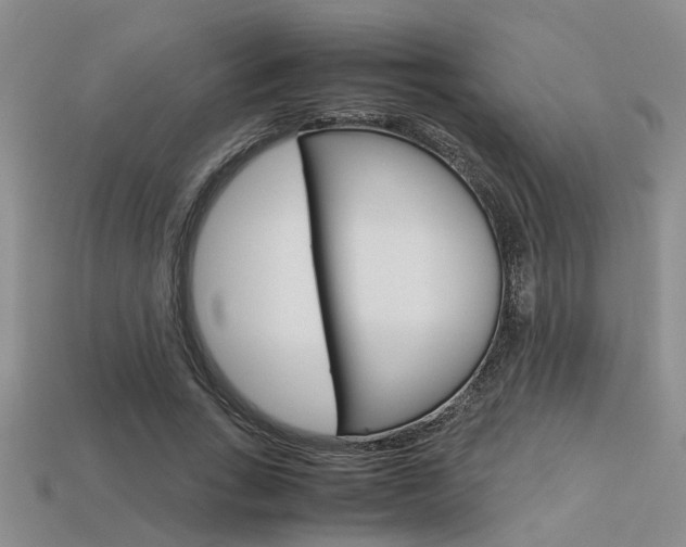X0000113600735200909181108