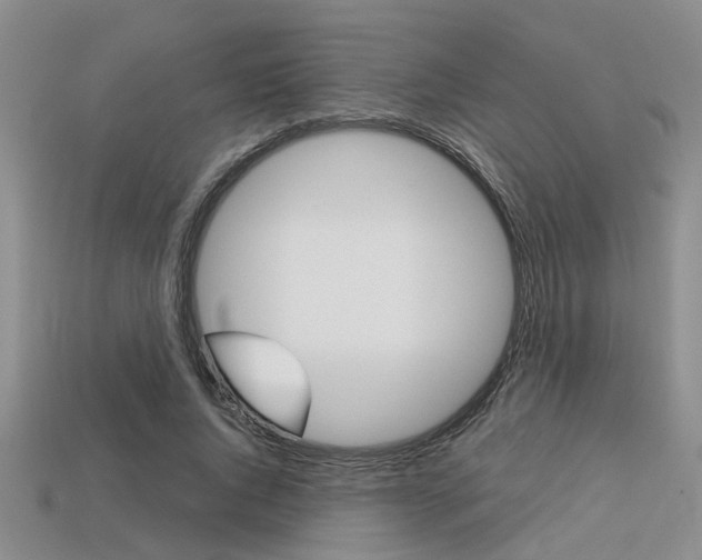 X0000113600736200909181108