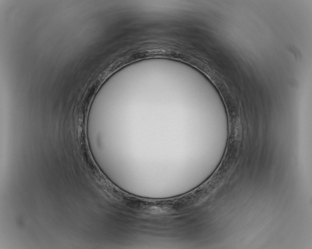 X0000113600737200909181108
