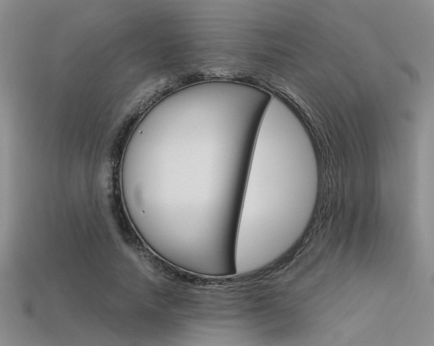 X0000113600738200909181108