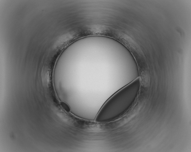 X0000113600740200909181108