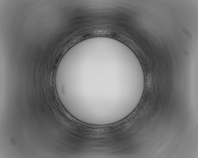 X0000113600741200909181108