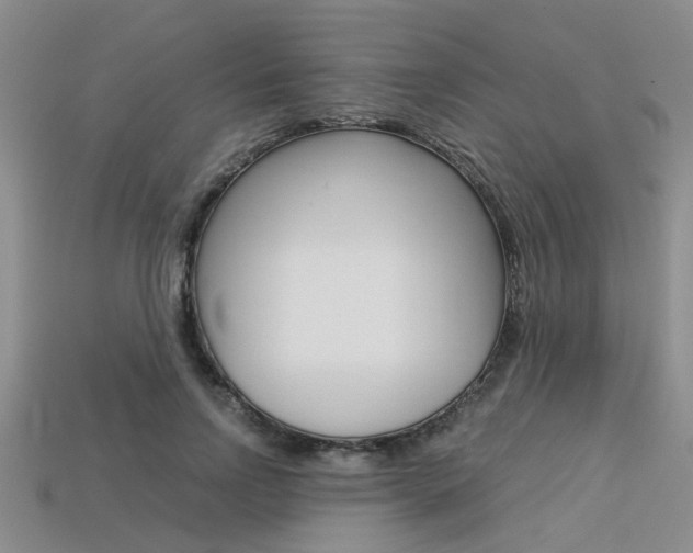 X0000113600742200909181108