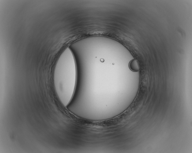 X0000113600743200909181108